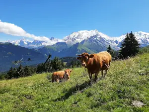 Saint-Gervais Mont-Blanc