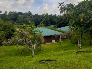 Valencia Eco Resort