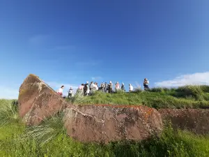 Bol'shoy Salbykskiy Kurgan