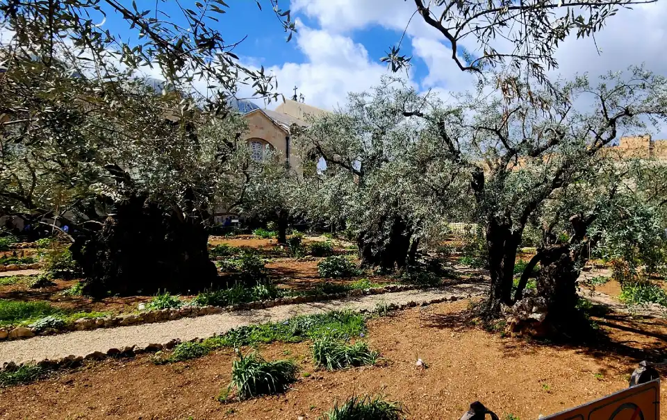 5_Gethsemane