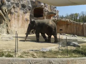 兒童大樂園