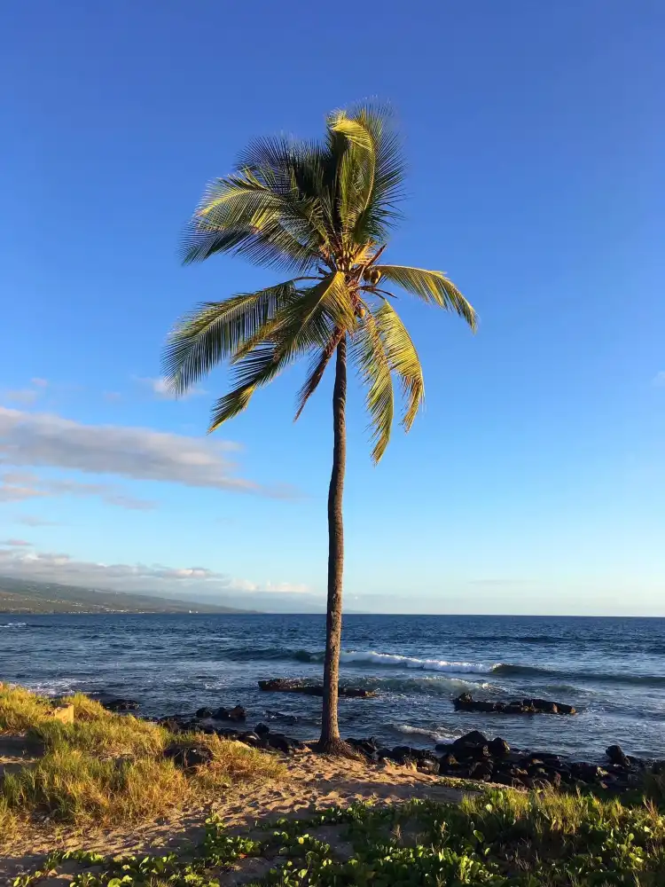 Hotels near Old Kona Airport State Recreation Area