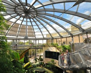 香港-桑德蘭 機票酒店 自由行