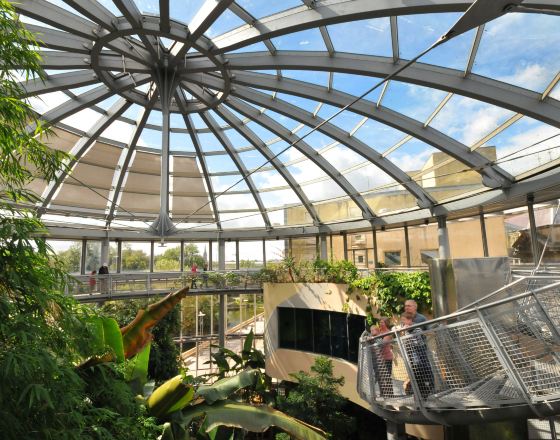 桑德蘭 自由行套票