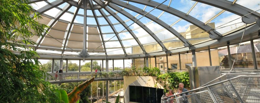 Sunderland Museum, Winter Gardens