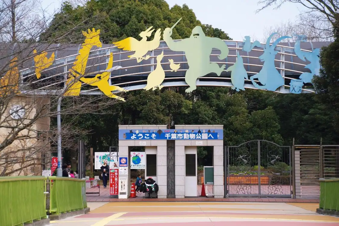 Hotels near حديقة حيوان مدينة تشيبا