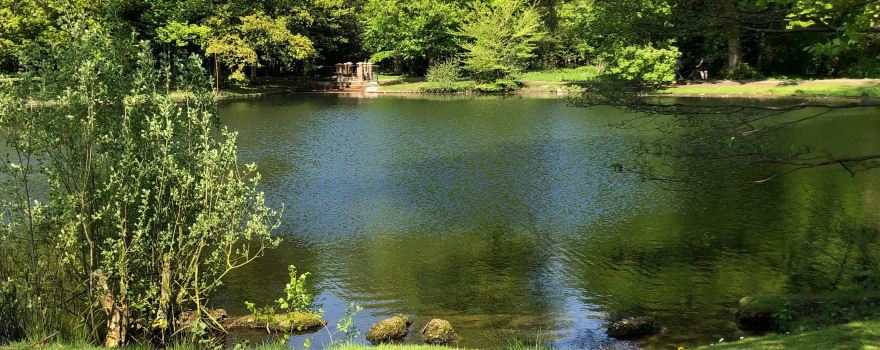 Boultham Park