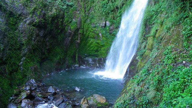 Neora Valley National Park