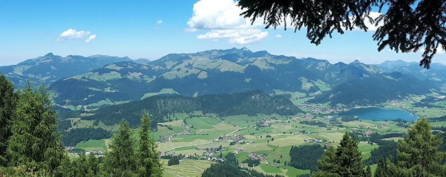 Walchsee