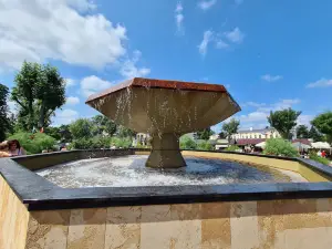 Fontaine Grzybek