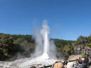 Lady Knox Geyser