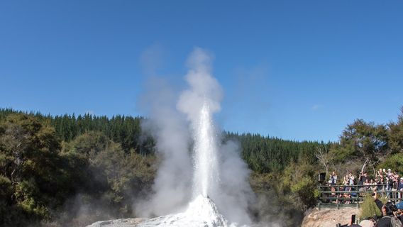 Lady Knox Geyser