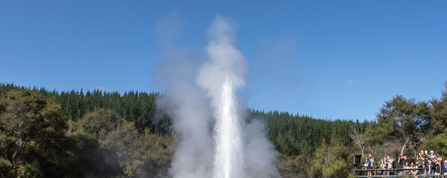 Lady Knox Geyser