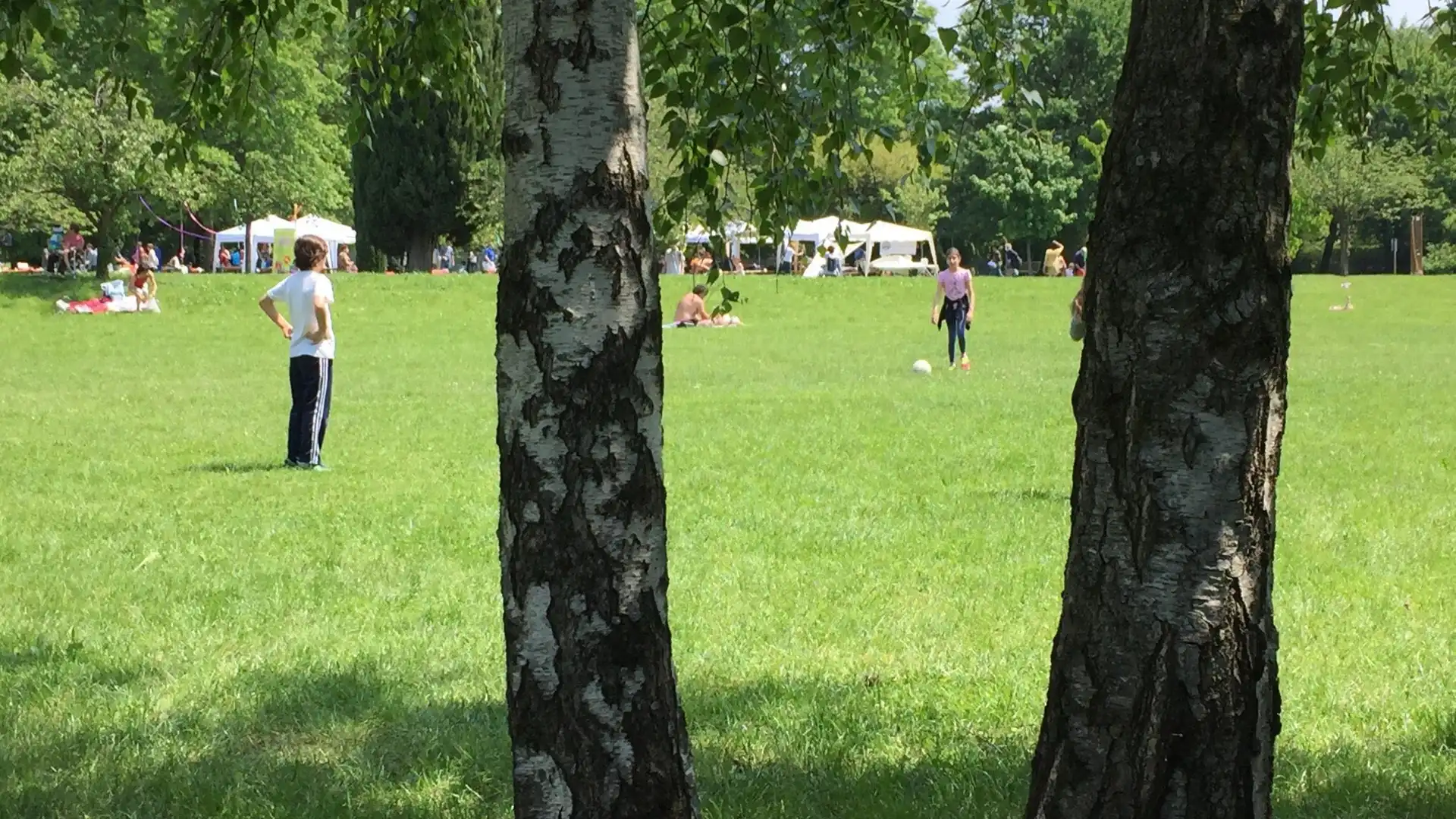 Hotels near Redona Park