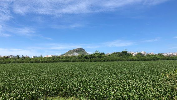 Parque Natural Municipal Chico Mendes