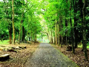 Kebun Raya Purwodadi