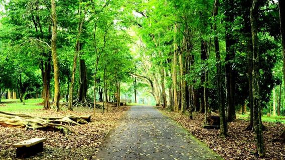 Kebun Raya Purwodadi