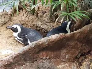The Dallas World Aquarium