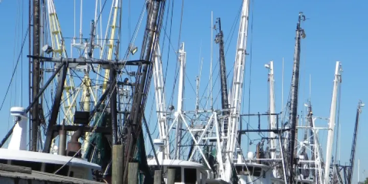 Ostego Bay Marine Science Center