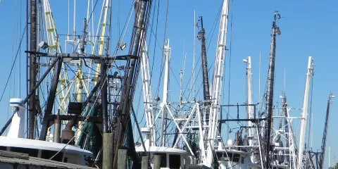 Ostego Bay Marine Science Center