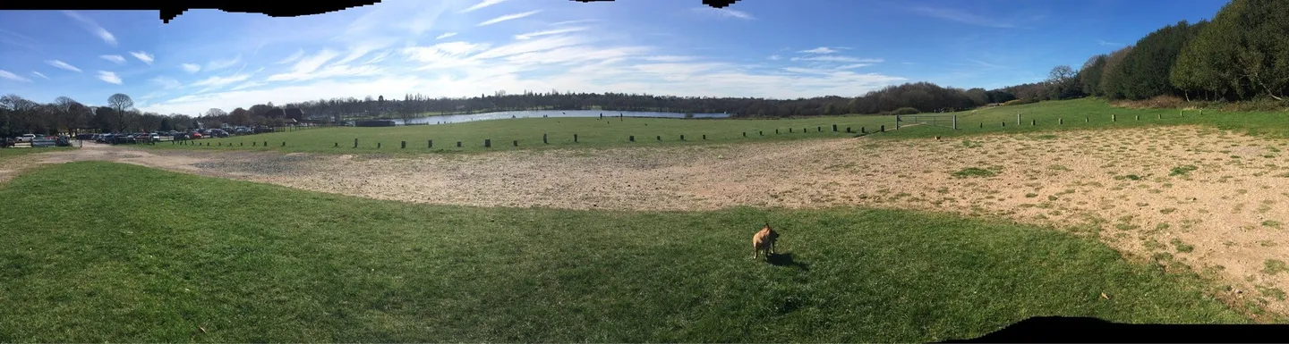 5_Sutton Park National Nature Reserve