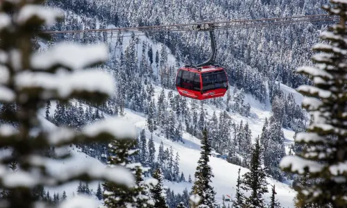 Peak 2 Peak Gondola Whistler