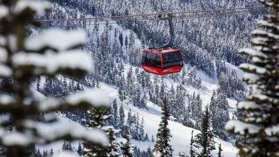 Peak 2 Peak Gondola Whistler