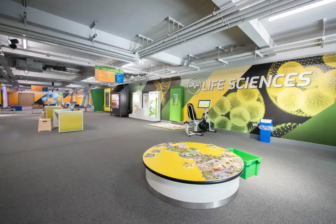 Отели рядом с достопримечательностью «Satrosphere Science Centre»