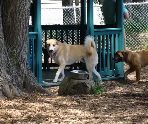Hotels near Kennebunk Dog Park