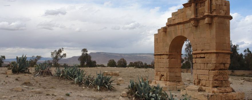Ancient Ammaedara