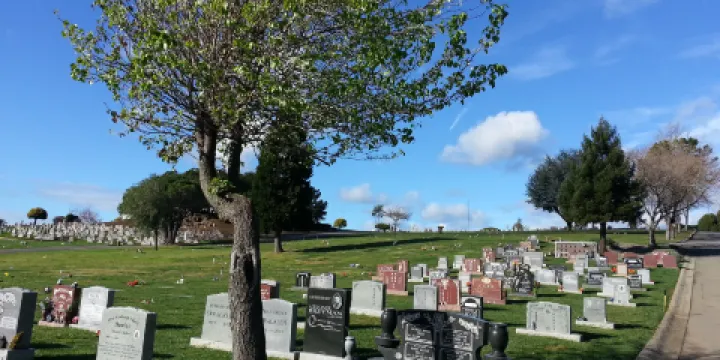 Lone Tree Cemetery