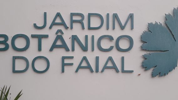 Faial Botanic Garden