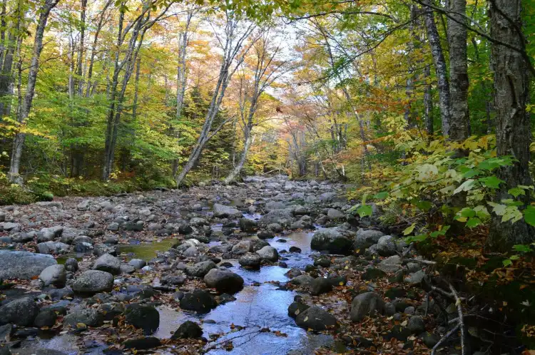 Hotels in Sandy River
