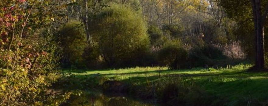Site naturel du Moron