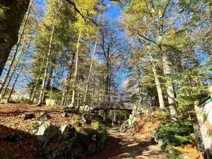 Zoo du Bois du Petit-Chateau