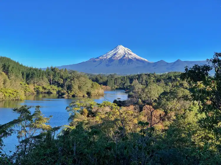 Hotels near Mt Taranaki Lookout