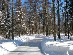 Parc John-H.-Molson