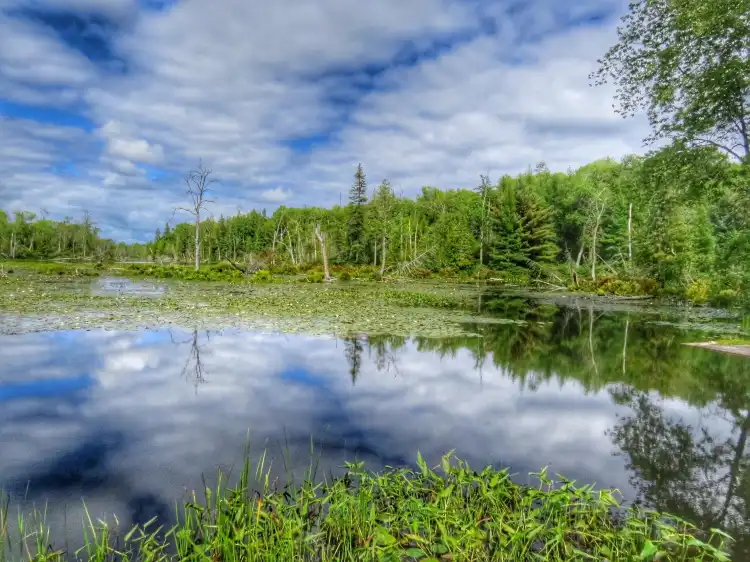 Hotels in North Kawartha