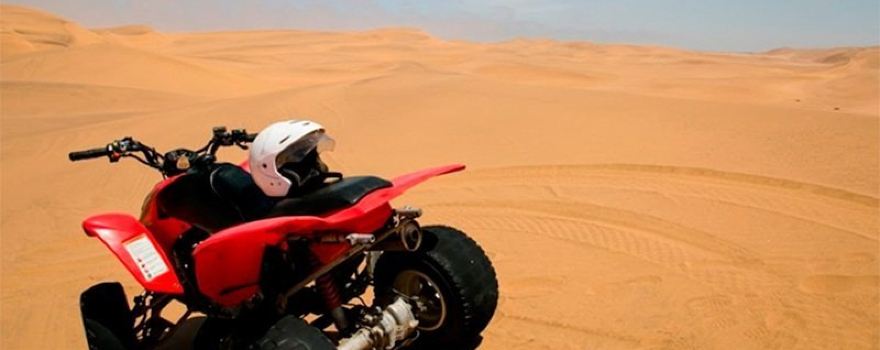 Oleshky Sands