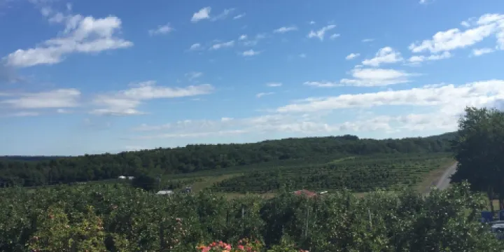 Rose's Berry Farm LLC