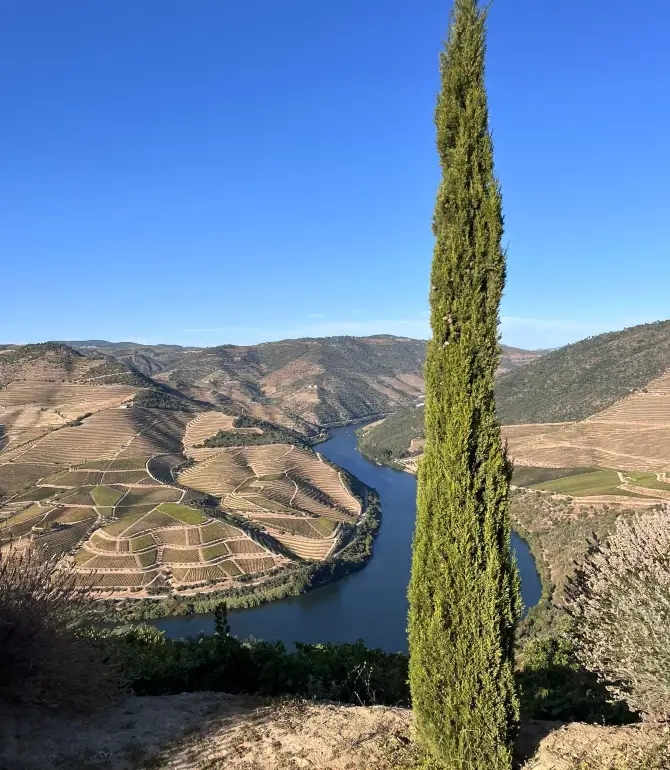 São João da Pesqueira