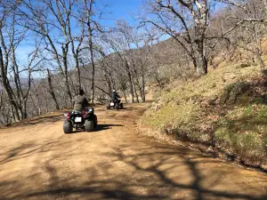 Aventuvera
