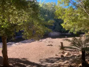 Alligator Creek Lookout
