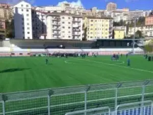 Stadio Alfredo Viviani