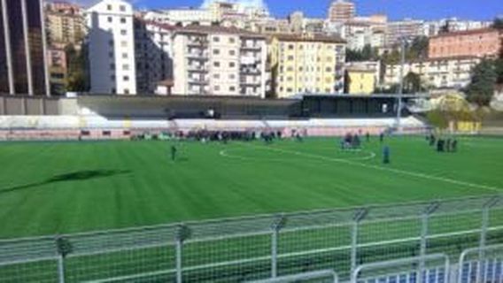 Stadio Alfredo Viviani