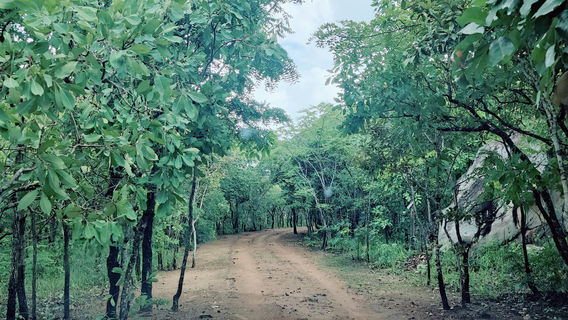 Mwela Rock Paintings