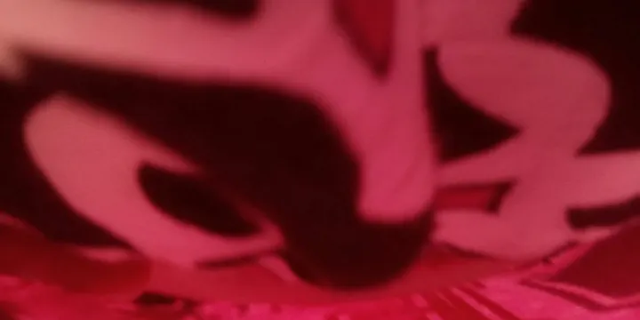 Ruth Rowell Modie Wildlife Park