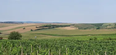 Kyjov