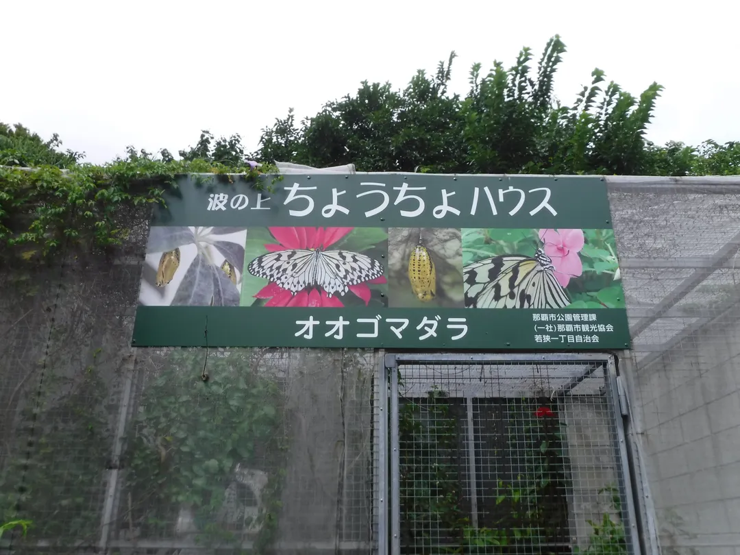 3_Nami no Ue Chocho House