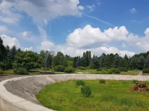 Bereznivskiy Dendropark